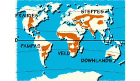 Distribution Around The World Grasslands Going Going